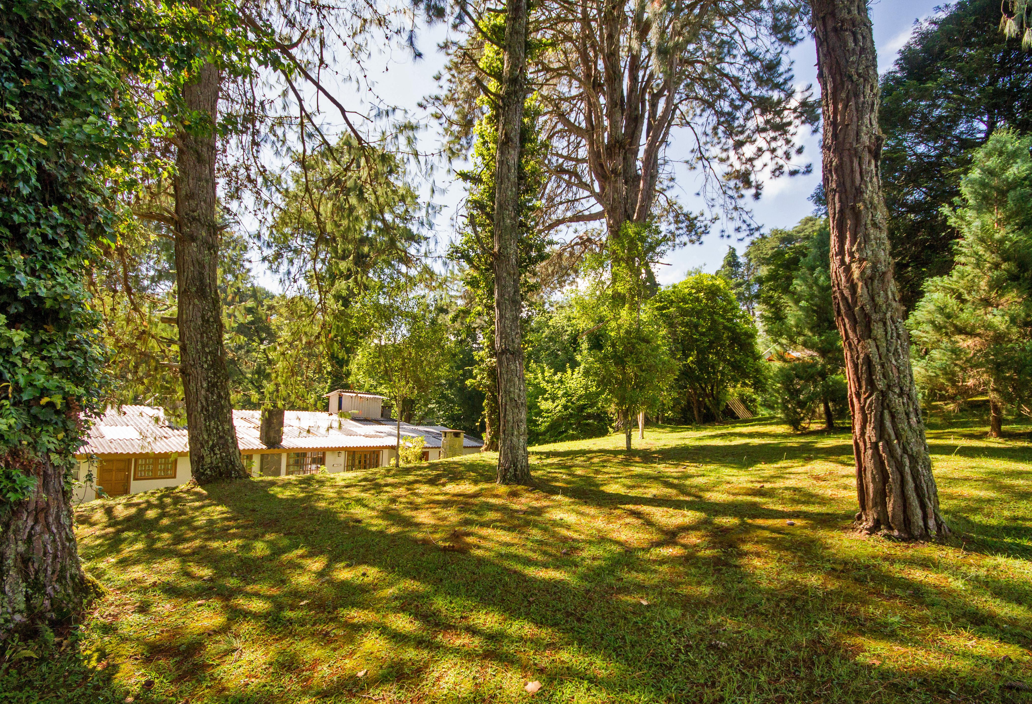 Villa Vintage Campos - Piscina E Opcoes De Suites Com Hidromassagem Campos do Jordao Dış mekan fotoğraf
